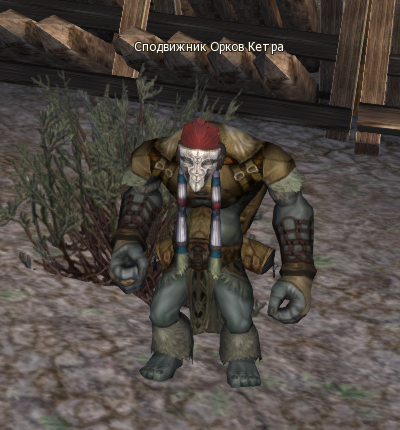 Ketra Orc Supporter